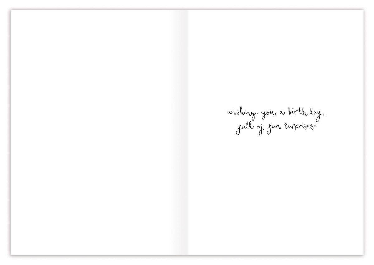 Biely & Shoaf - Three Meerkats Birthday Card