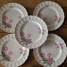 Load image into Gallery viewer, STV33 Johnson Brothers Plate Set
