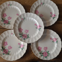 STV33 Johnson Brothers Plate Set