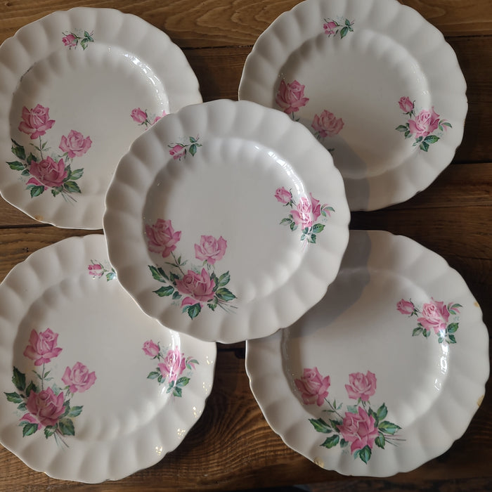 STV33 Johnson Brothers Plate Set