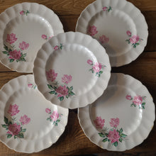 Load image into Gallery viewer, STV33 Johnson Brothers Plate Set
