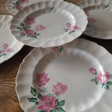 Load image into Gallery viewer, STV33 Johnson Brothers Plate Set
