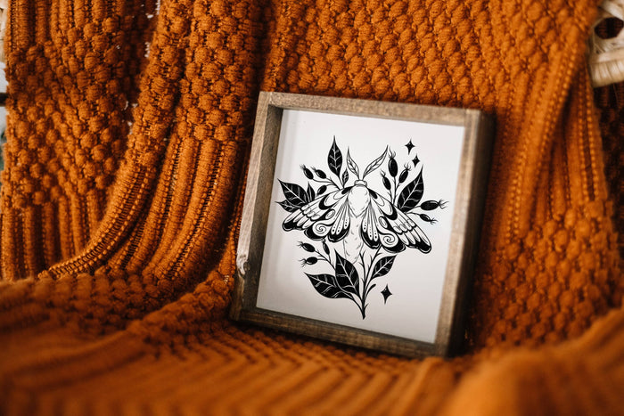 Moth Framed Print: Clay