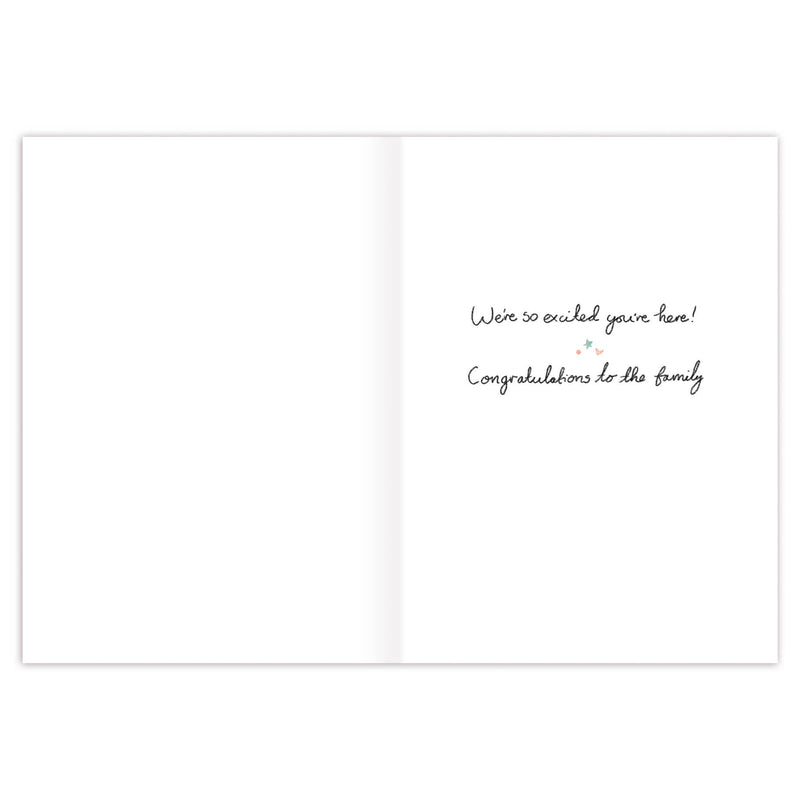 Biely & Shoaf - Clothesline Baby Card