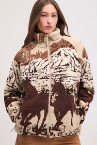 Kuwalla - Desert Stallion Sherpa