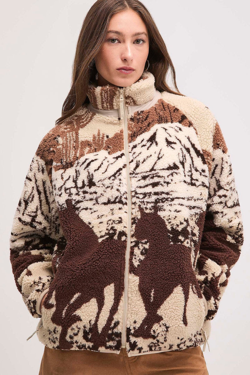 Kuwalla - Desert Stallion Sherpa