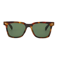 Shady Lady Sun Glasses