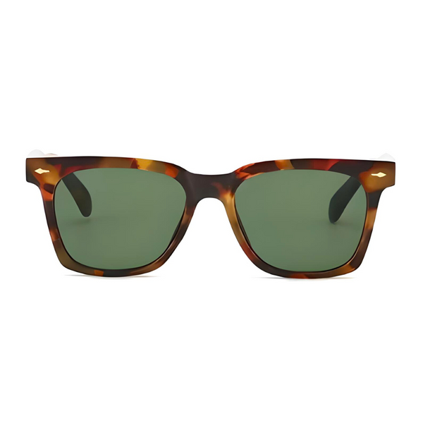 Shady Lady Sun Glasses