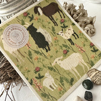 Pika & Bear Swedish Dish Cloths