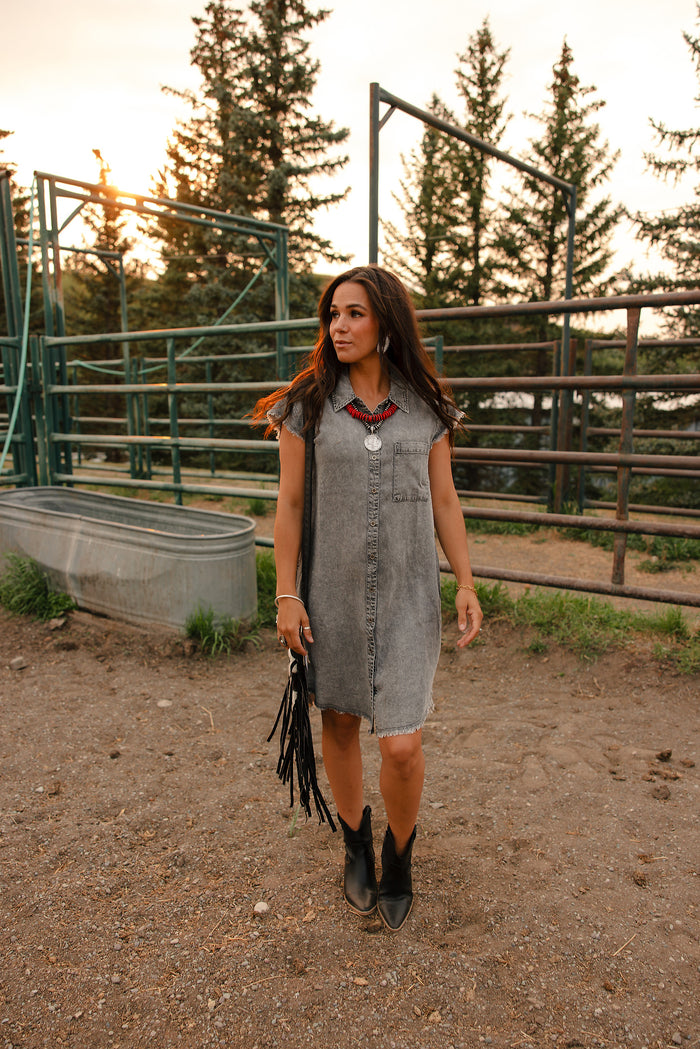 Dust & Denim Dress