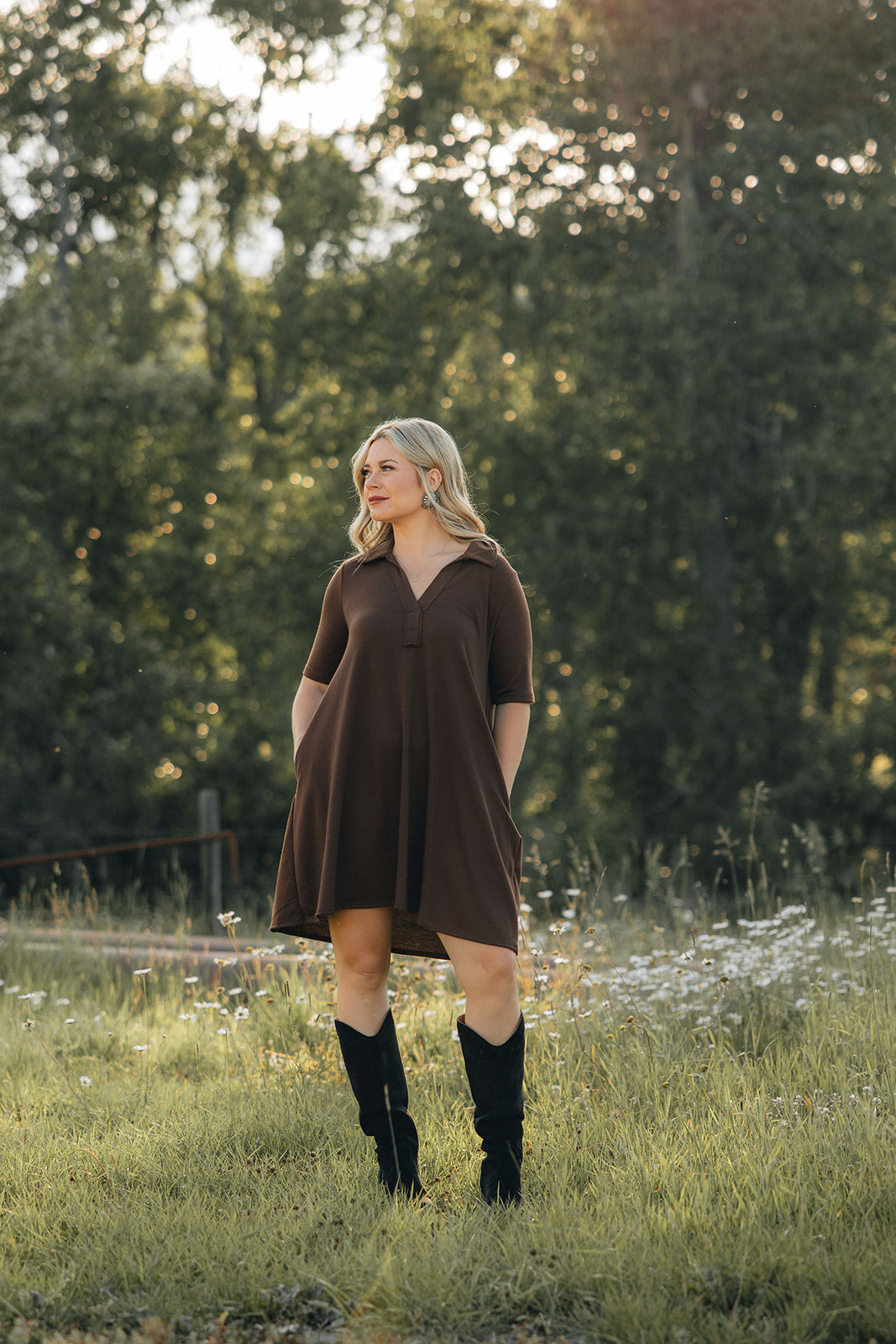 Chestnut Polo Dress