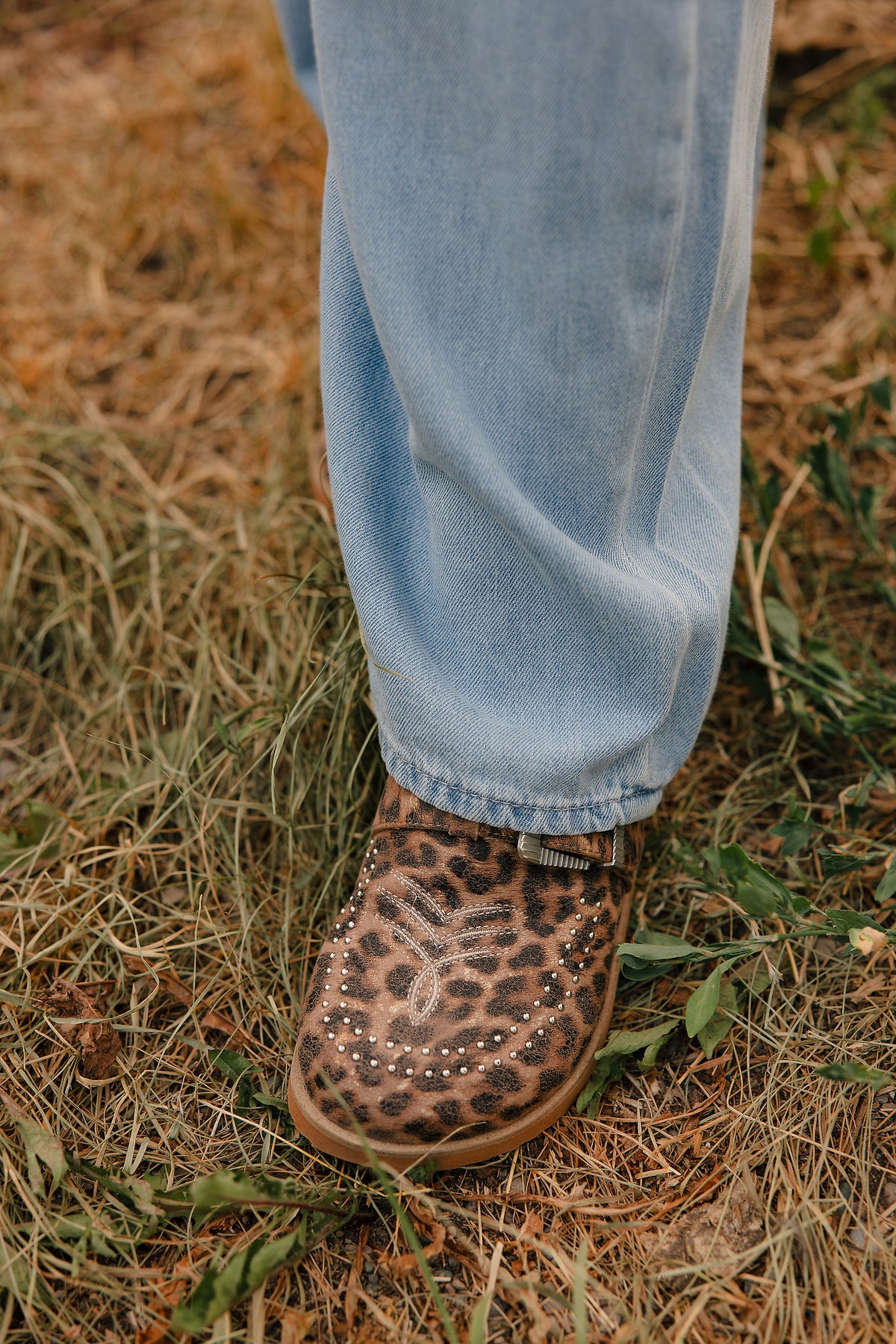 Josephine Mule - Leopard