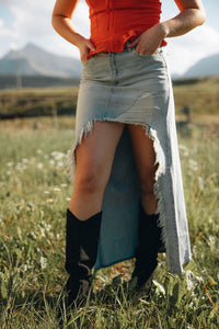 Abrand Denim Caterina Maxi Skirt