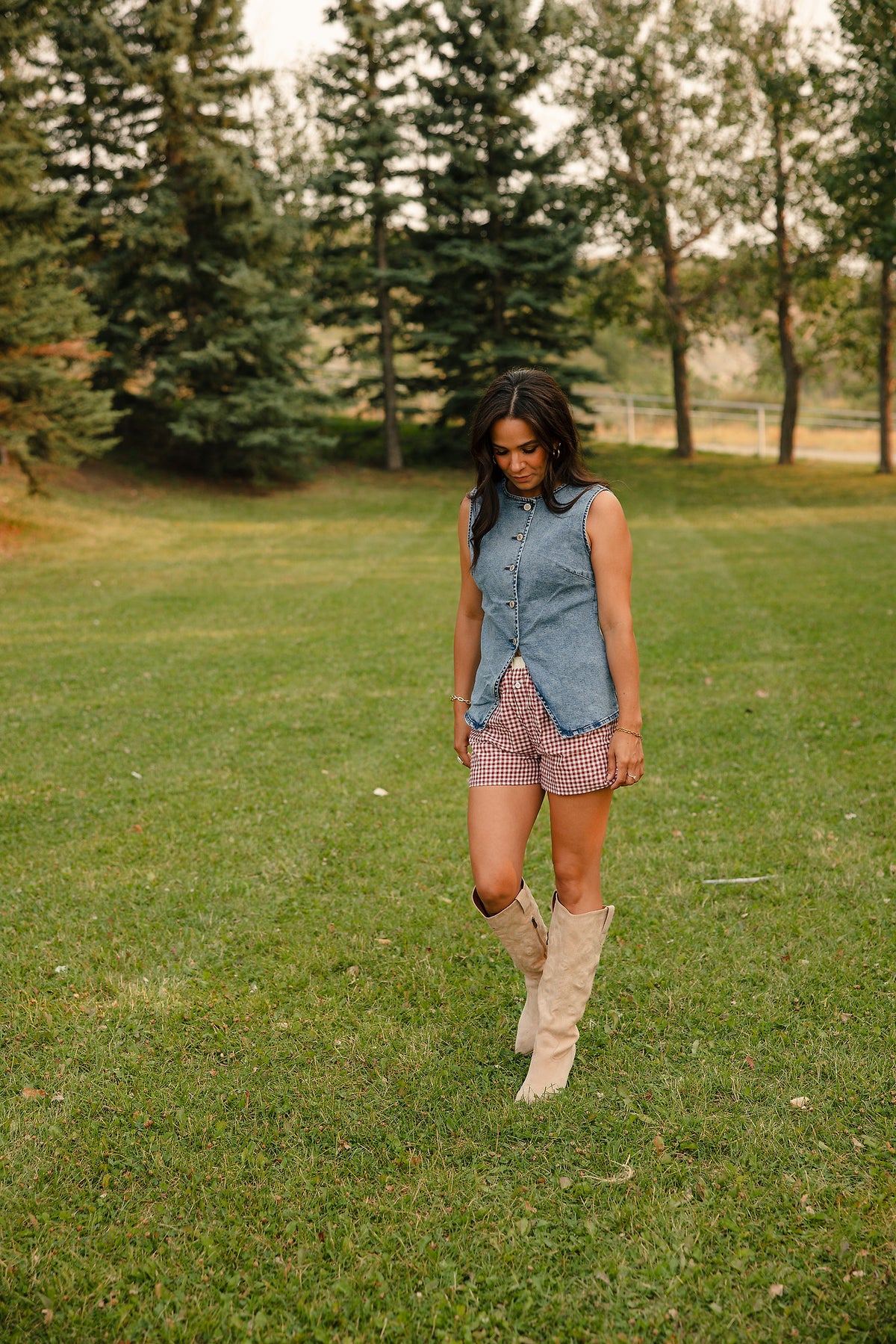 Frontier Denim Vest