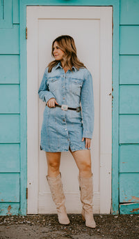 Daze Denim Dolly Dress