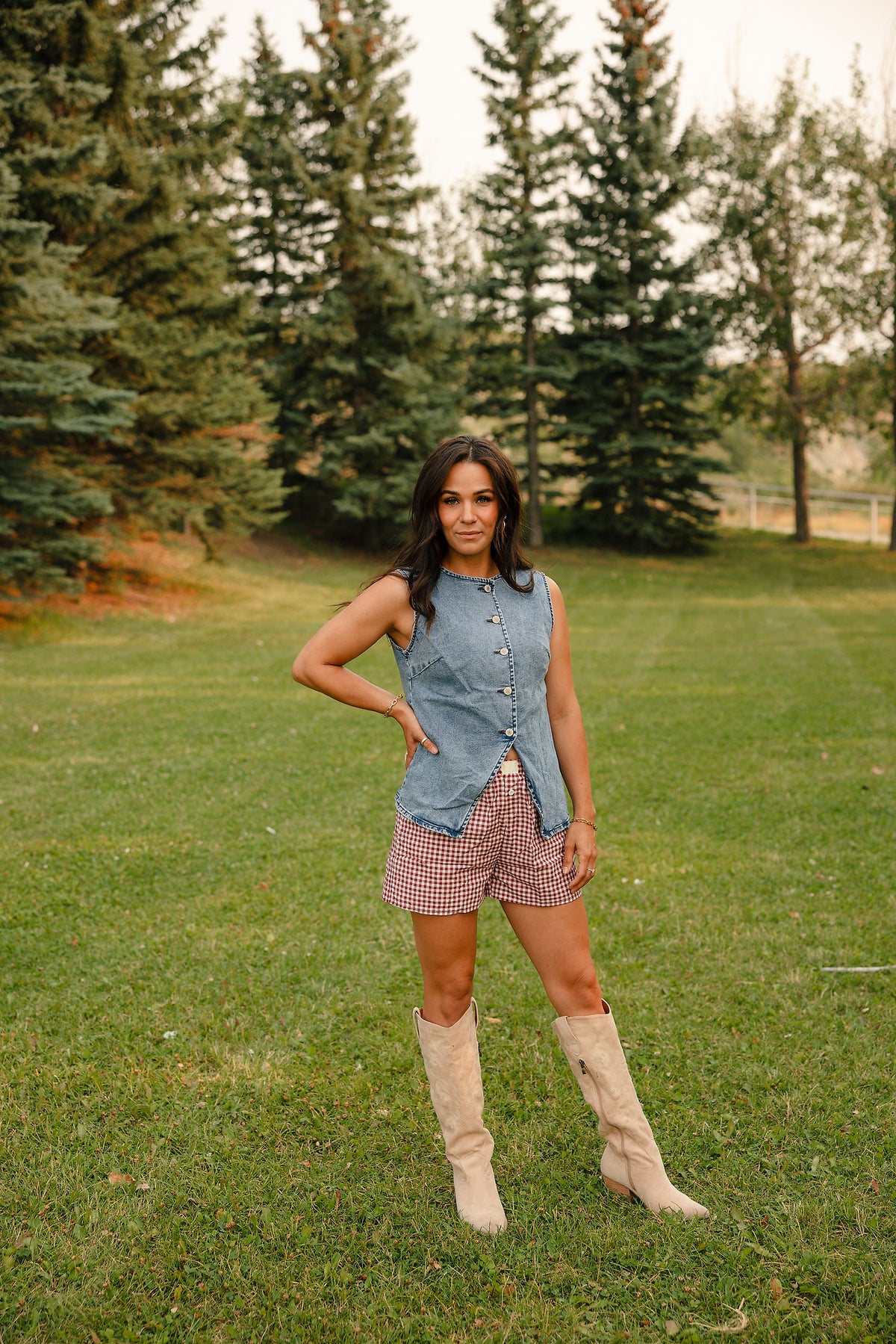 Frontier Denim Vest