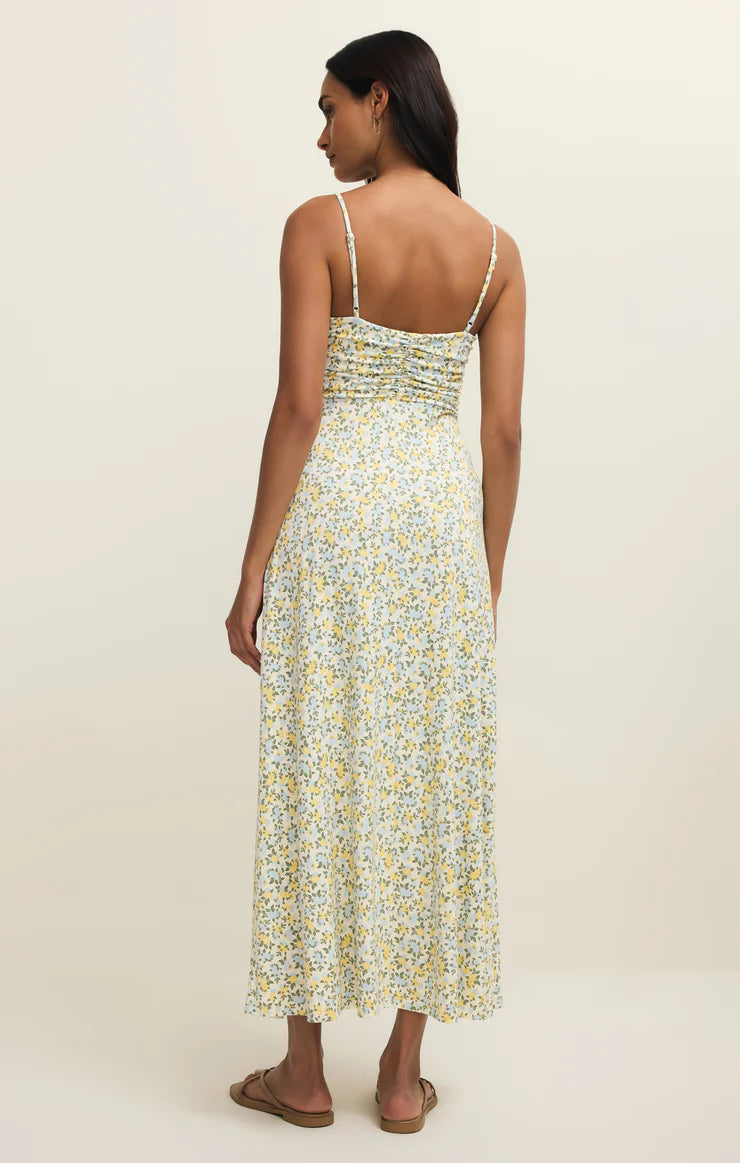 Z Supply Faya Idra Ditzy Maxi Dress