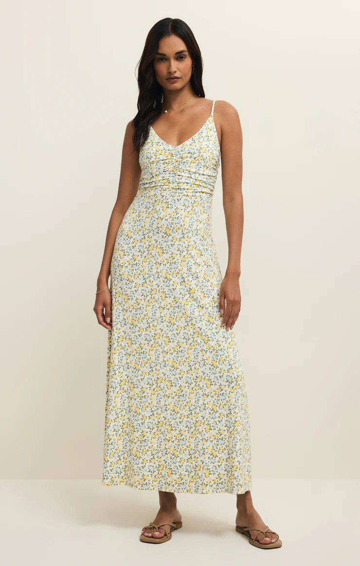 Z Supply Faya Idra Ditzy Maxi Dress