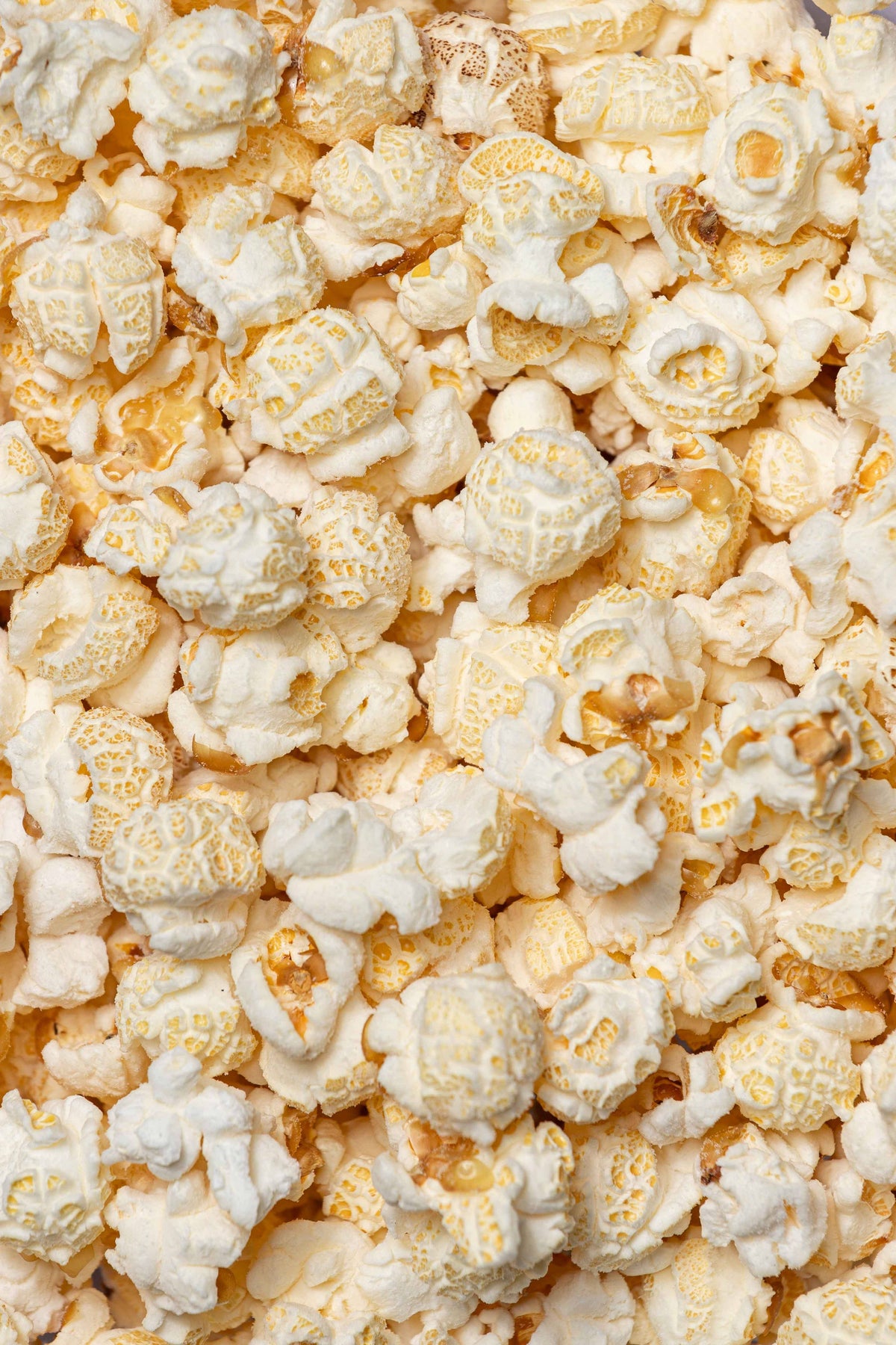 Klondike Kettle Corn - Salt & Vinegar: Regular