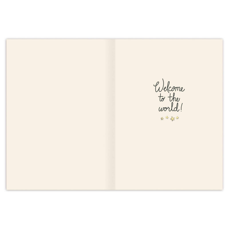 Biely & Shoaf - Teddy Bear Baby Card
