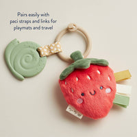 Itzy Ritzy Canada - Itzy Pal™ Plush + Teether: Avocado