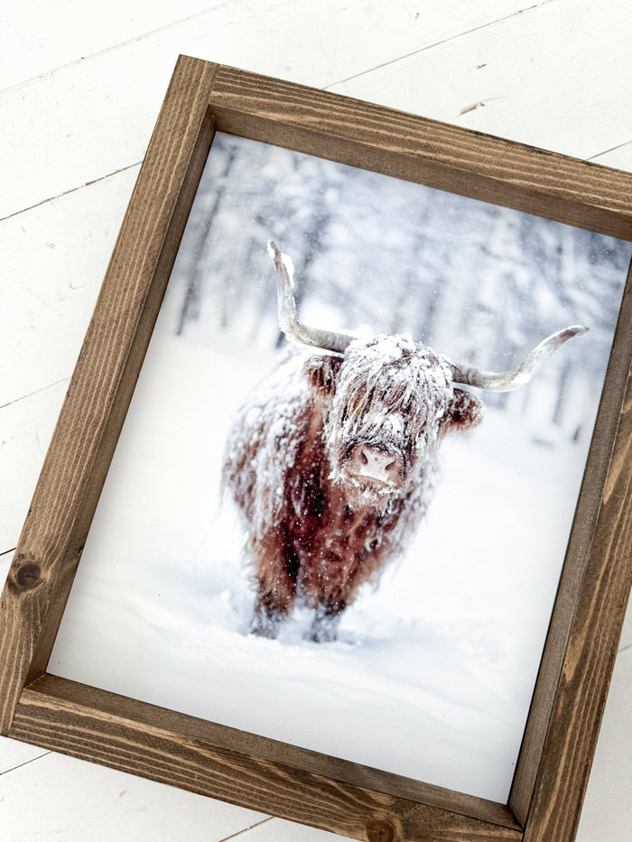 Ashwood Designs - Winter Cow print: Dark Walnut / 13x17