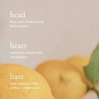 SOJA&CO.® - Liquid Dish Soap | Lemon, Sage & Rosemary