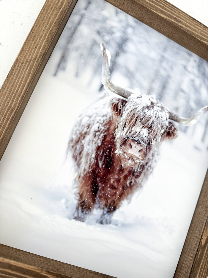 Ashwood Designs - Winter Cow print: Dark Walnut / 13x17