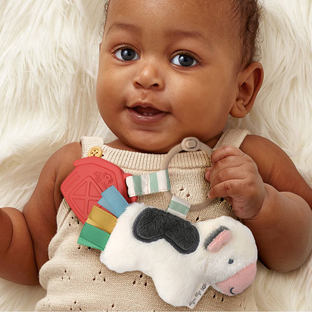 Itzy Ritzy Canada - Itzy Pal™ Plush + Teether: Avocado