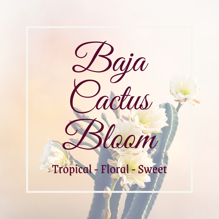 The Fresh Wife Soap Company - Baja Cactus Bloom Hand Lotion