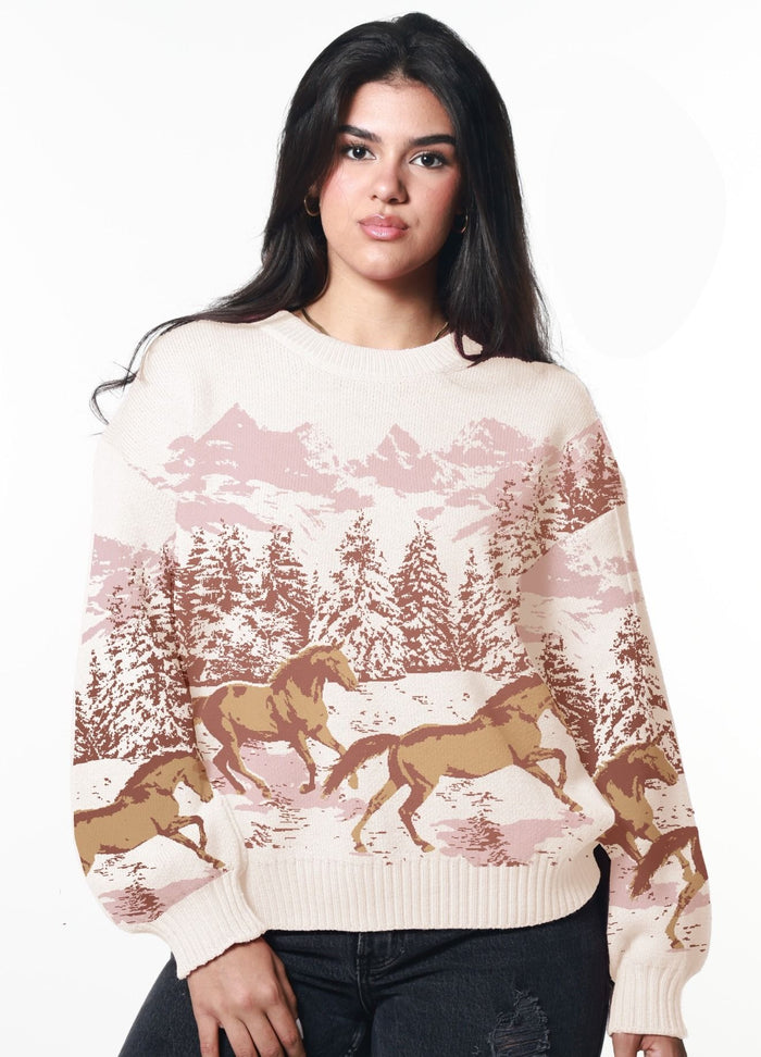 Wild Horses Oversized Sweater - Light Pink