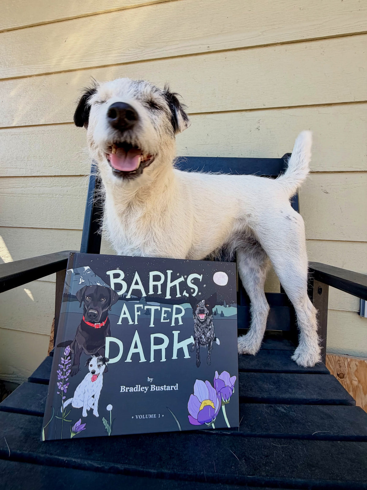 Barks After Dark